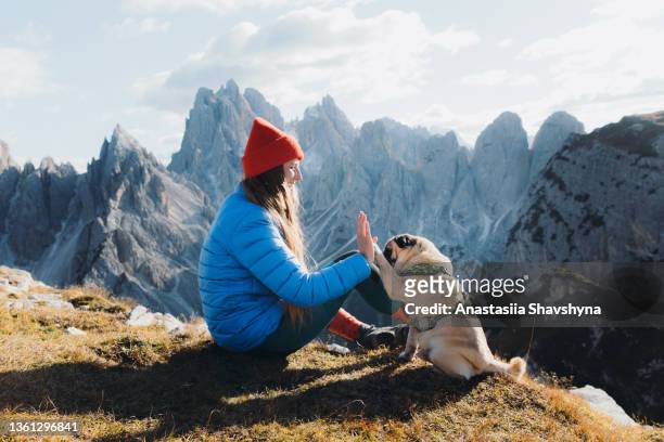 smiling woman and her dog contemplating the scenic mountains relaxing at the meadow in dolomites alps - wonderlust stockfoto's en -beelden