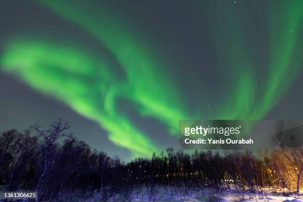 aurores boréales en hiver, tromsø, norvège - aurores boréales stock-fotos und bilder