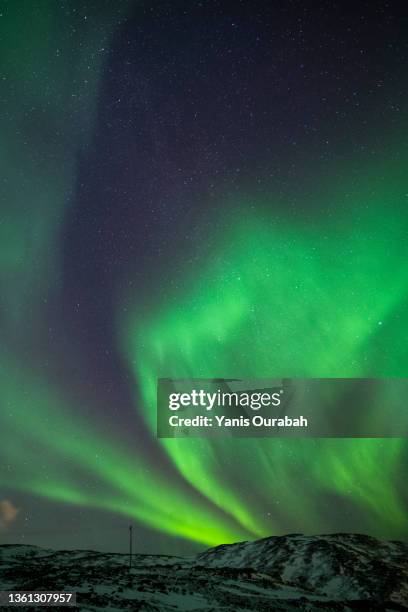 aurores boréales en hiver, tromsø, norvège - aurores boréales stock-fotos und bilder