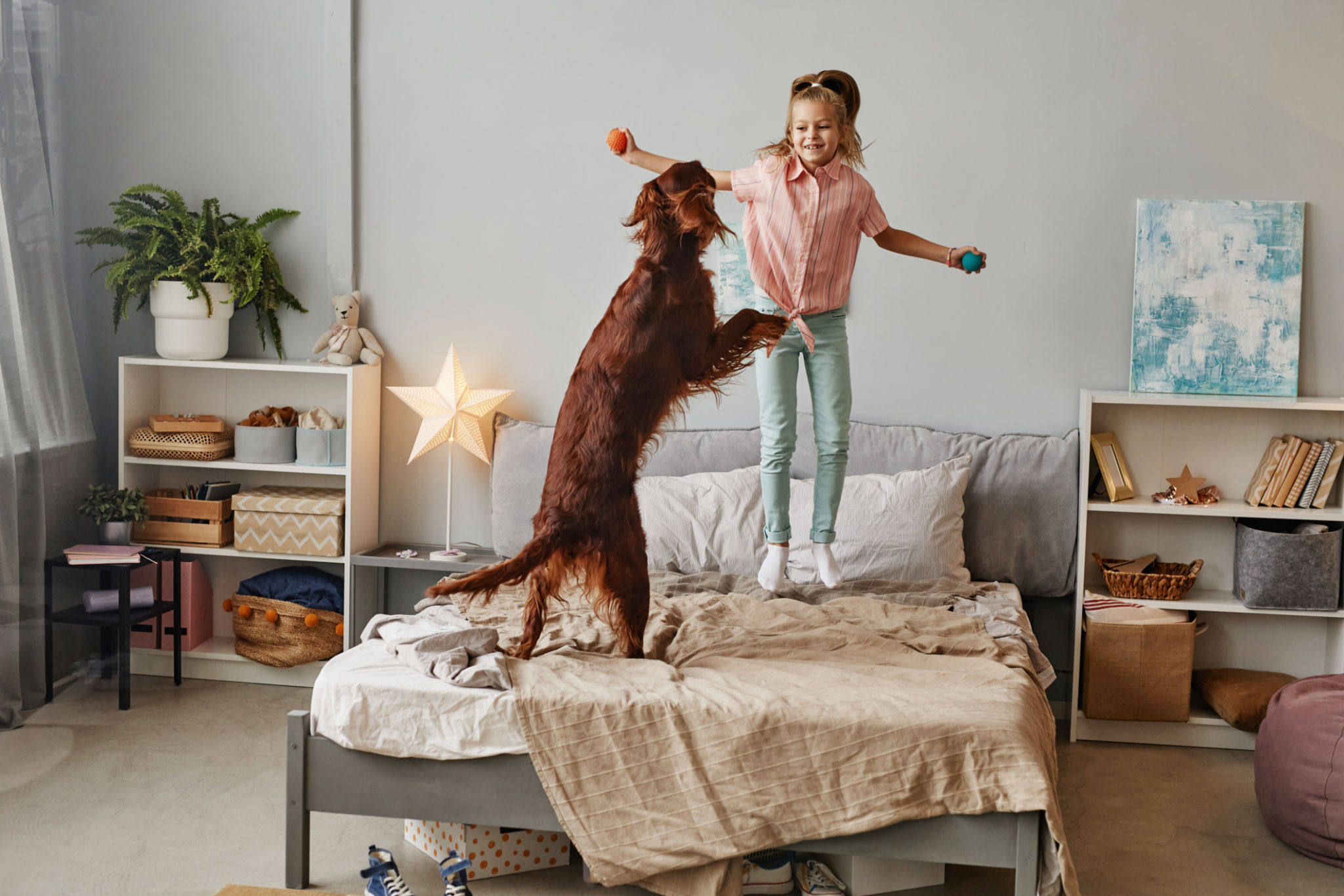 dog indoor play