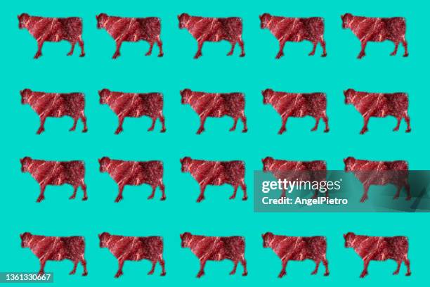 veal meat in a background composition - raw meat stock pictures, royalty-free photos & images