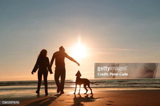 couple on beach at sunset with dog - couple sunset beach stock pictures, royalty-free photos & images