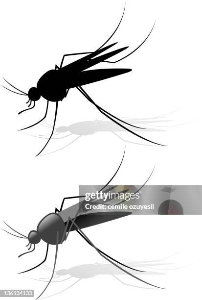 mosquito - gnats stock illustrations