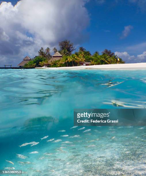 split-level view of rannalhi and white sand beach - underwater composite image stock pictures, royalty-free photos & images