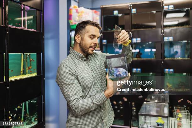 tienda de mascotas - aquatic organism fotografías e imágenes de stock