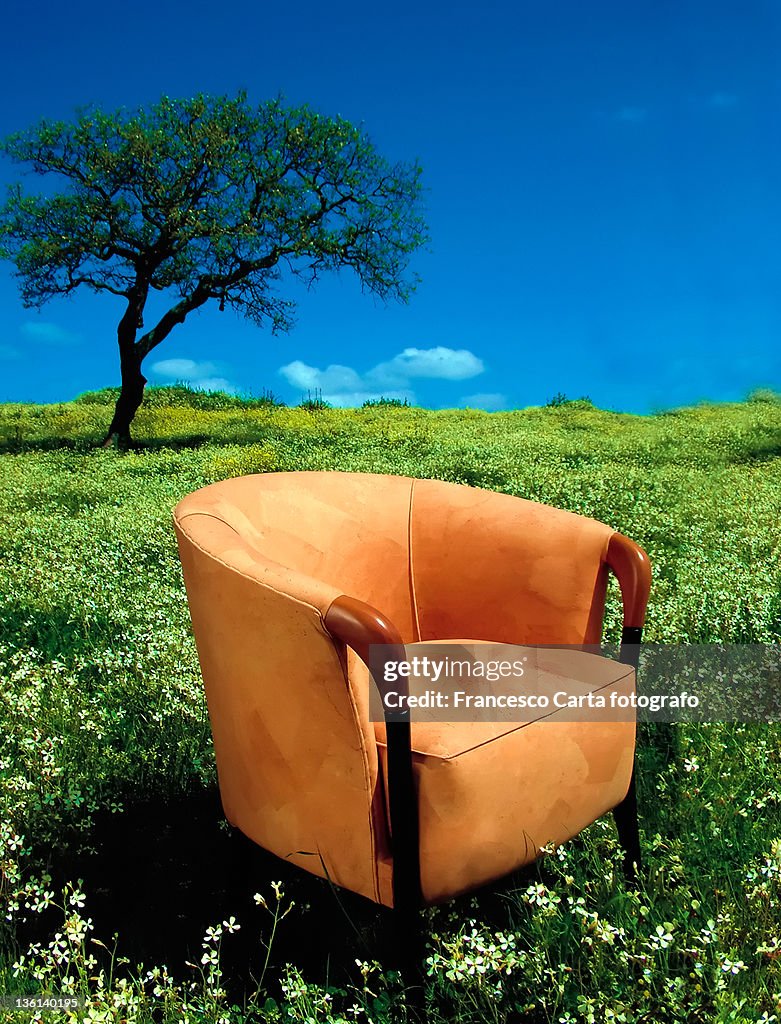 Chair in wild flower field