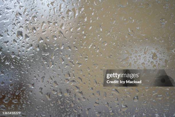fogs and drops - humidity stock pictures, royalty-free photos & images