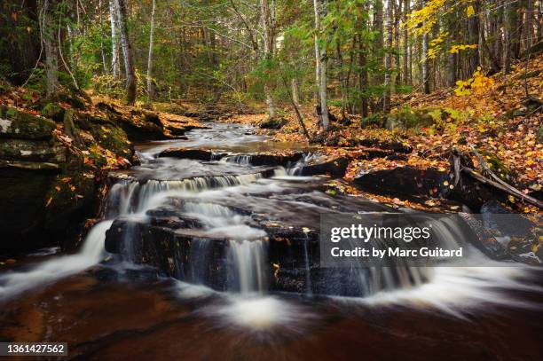 corbett brook falls under fall foliage, fredericton, new brunswick, canada - new brunswick canada 個照片及圖片檔