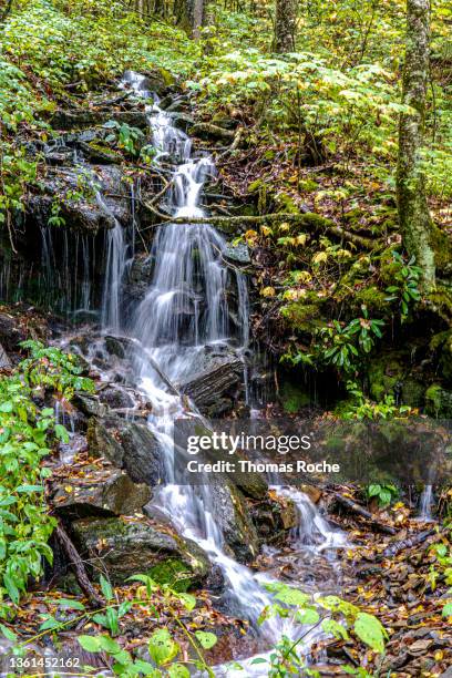 a pretty little stream in the mountains - small waterfall stock pictures, royalty-free photos & images