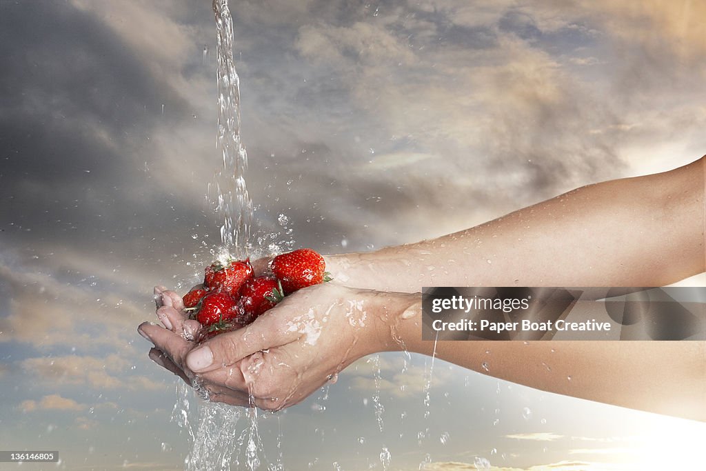 Hand washing a portion of fresh strawberries