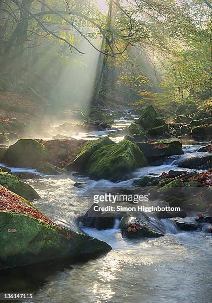 river at mist, west yorkshire - simon higginbottom fotografías e imágenes de stock