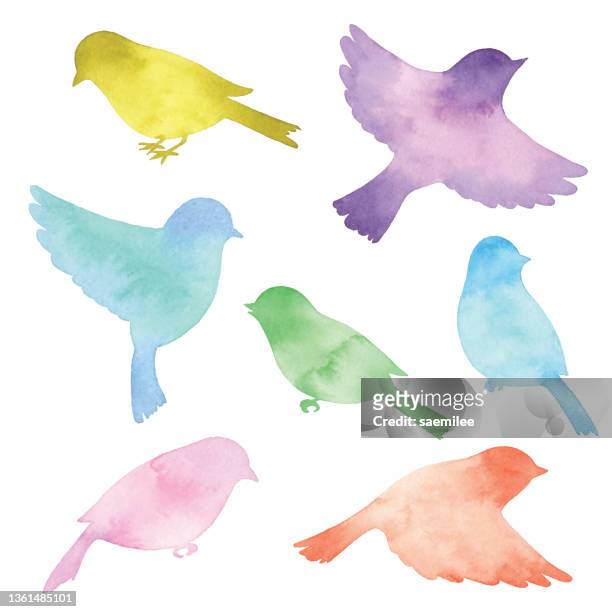 ilustrações, clipart, desenhos animados e ícones de silhuetas de pássaros coloful aquarela - ave canora