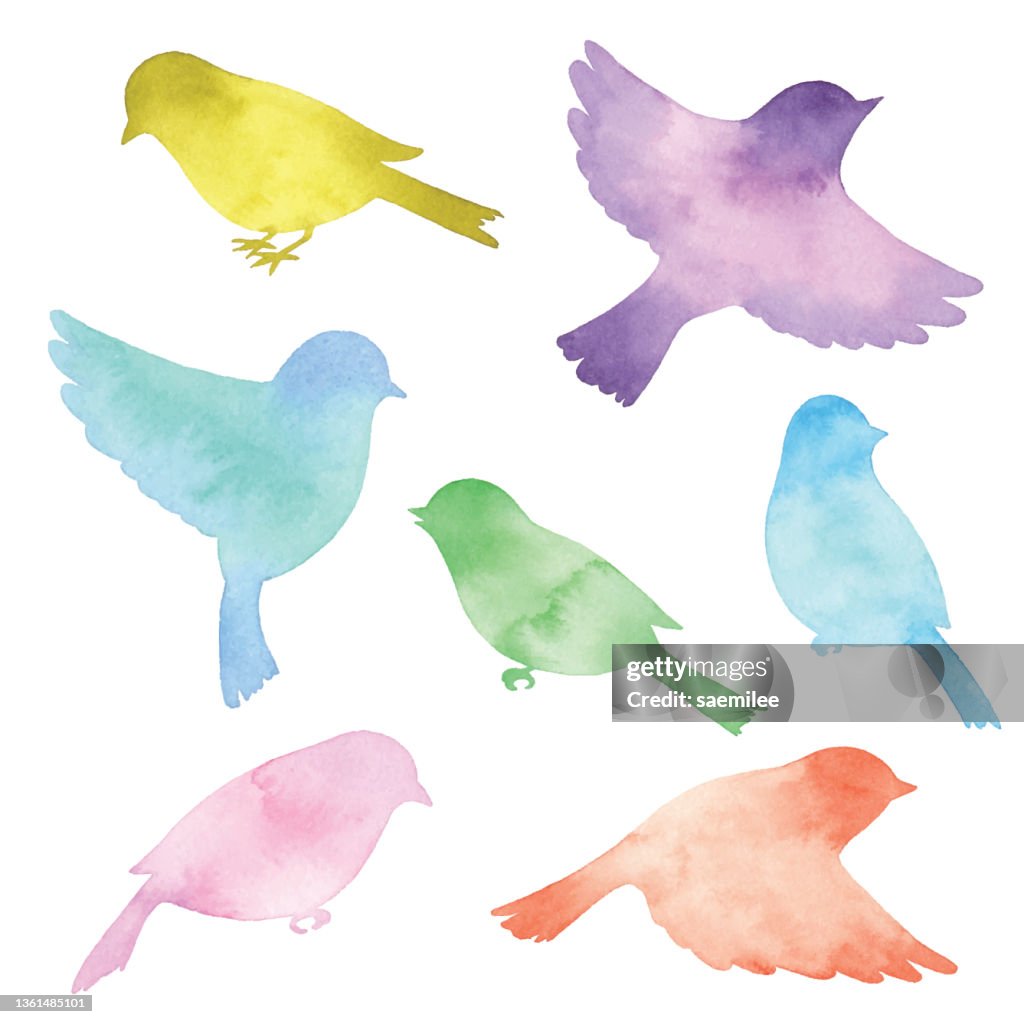 Watercolor Coloful Birds silhouettes