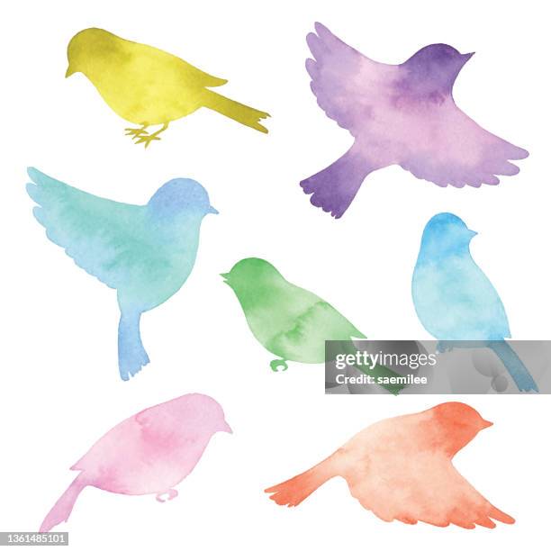 watercolor coloful birds silhouettes - bird watching stock illustrations