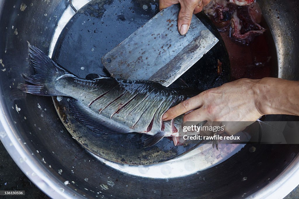 Raw fish being cut up at a market