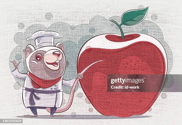 chef mouse presenting with apple - cooking show stock illustrations