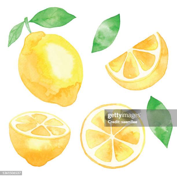 watercolor fresh lemons - lemon fruit stock illustrations