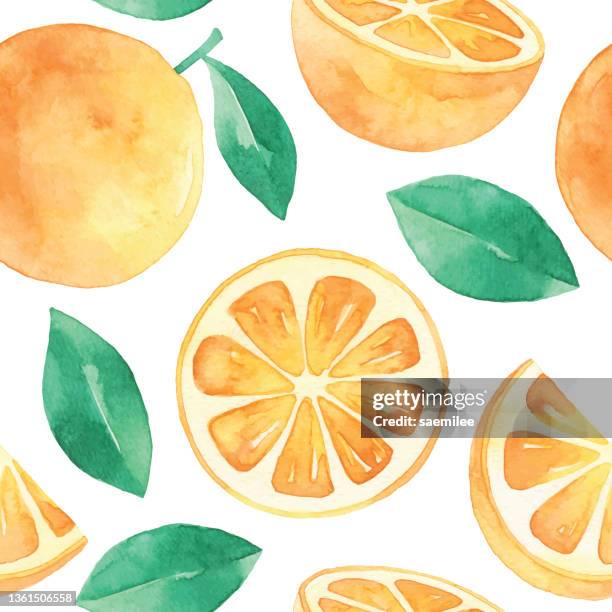 bildbanksillustrationer, clip art samt tecknat material och ikoner med watercolor orange seamless pattern - apelsin