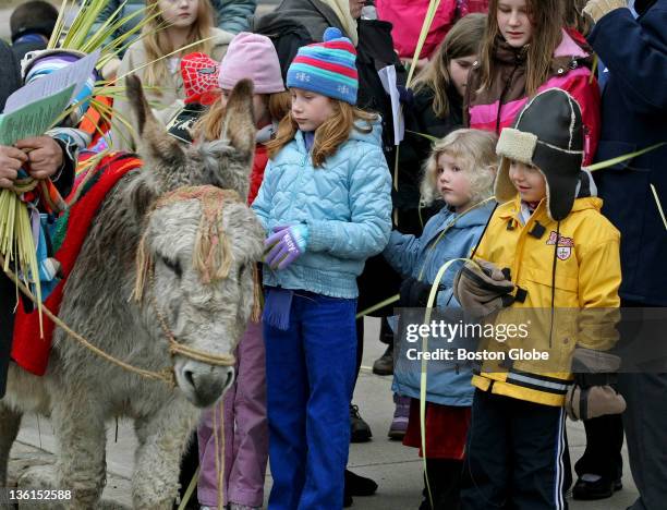 Kids get close to Chester the gray donkey , who once again led the Palm Sunday procession down College Avenue to Davis Square. Annual service is...