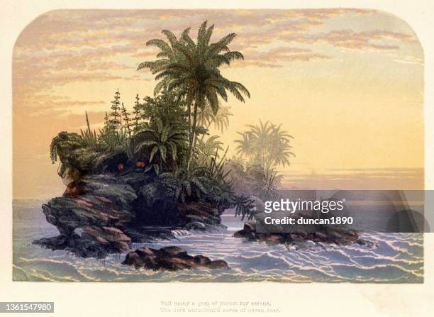 illustrations, cliparts, dessins animés et icônes de coucher de soleil et îles tropicales, palmiers et fougères, paradis, art du paysage victorien, 19ème siècle - île déserte