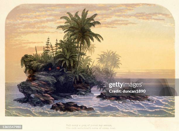 stockillustraties, clipart, cartoons en iconen met sunset and tropical islands, palms and ferns, paradise, victorian landscape art, 19th century - tropical island