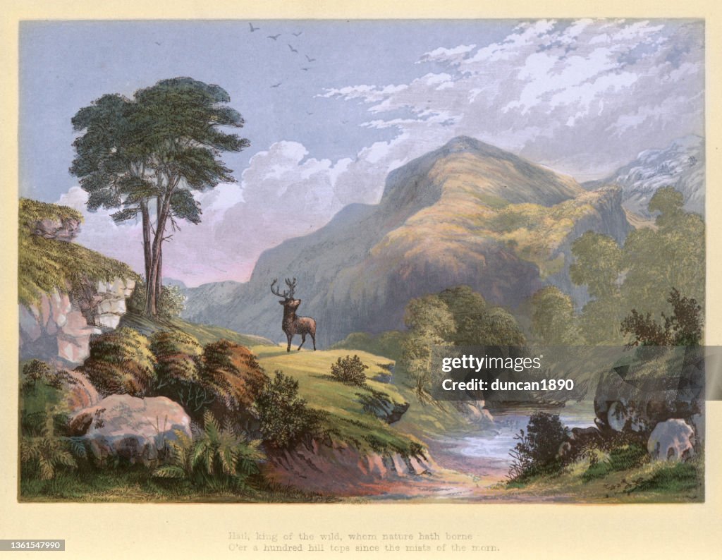 Stag, Monarch of the glen, King of the Wild, Victorian landscape art, 19th Century