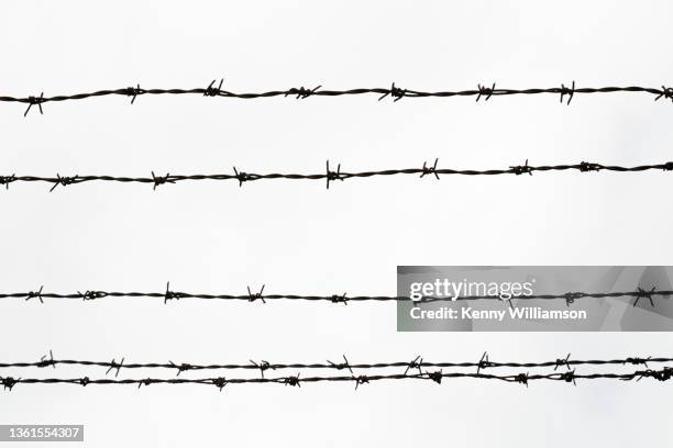 security - fence with barbed wire stock pictures, royalty-free photos & images