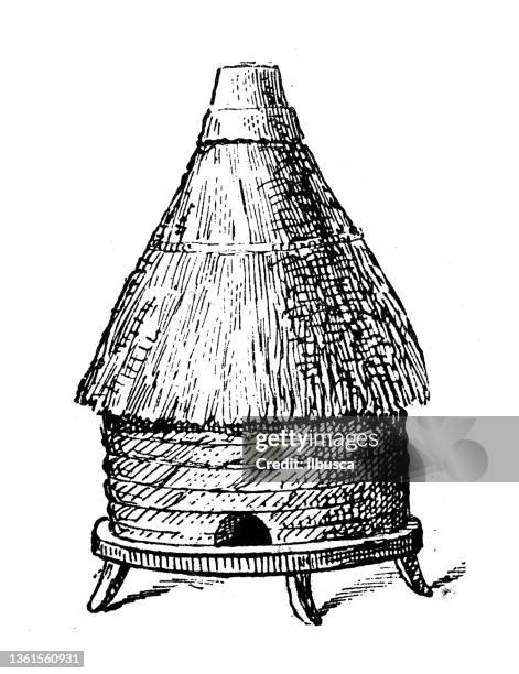 antique illustration: beehive - bee drawing stock illustrations