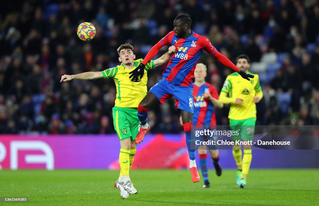 Crystal Palace v Norwich City - Premier League