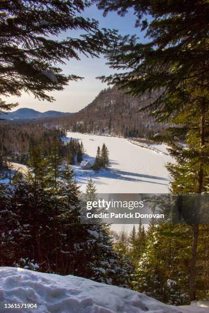 parc national de la jacques-cartier, quebec, canada - quebec icy trail stock pictures, royalty-free photos & images