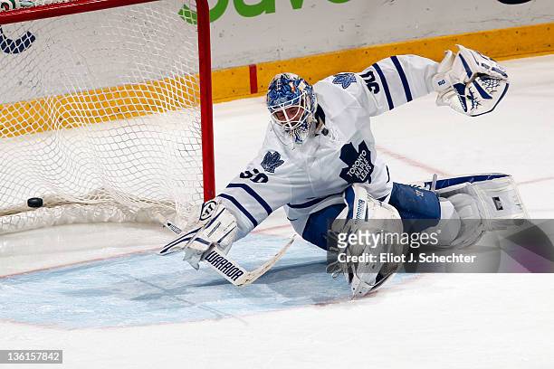 Goaltender Jonas Gustavsson of the Toronto Maple Leafs lets a goal in by Tomas Fleischmann of the Florida Panthers at the BankAtlantic Center on...