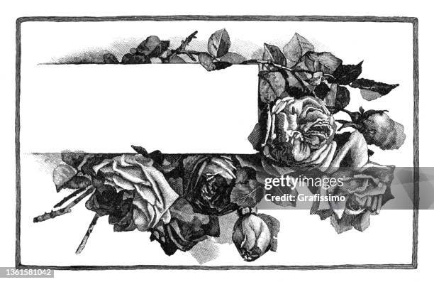 postkarte mit blumenarrangement aus rosen 1891 - 1891 stock-grafiken, -clipart, -cartoons und -symbole