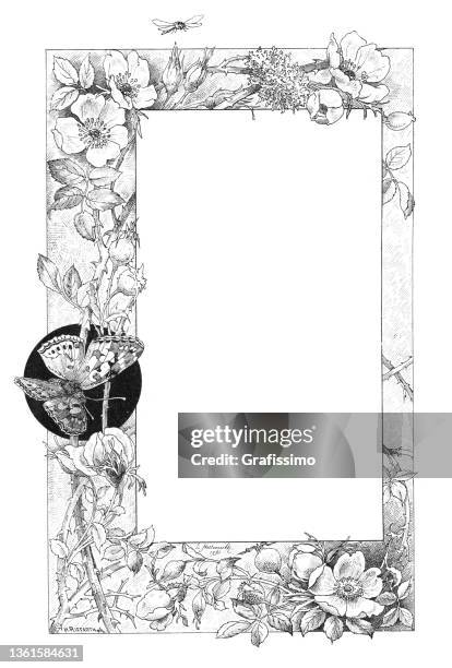 ilustrações de stock, clip art, desenhos animados e ícones de frame with flower rose hip and butterfly 1891 - 1891 stock illustrations