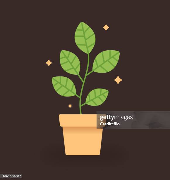 ilustrações de stock, clip art, desenhos animados e ícones de small potted plant - vaso de flor