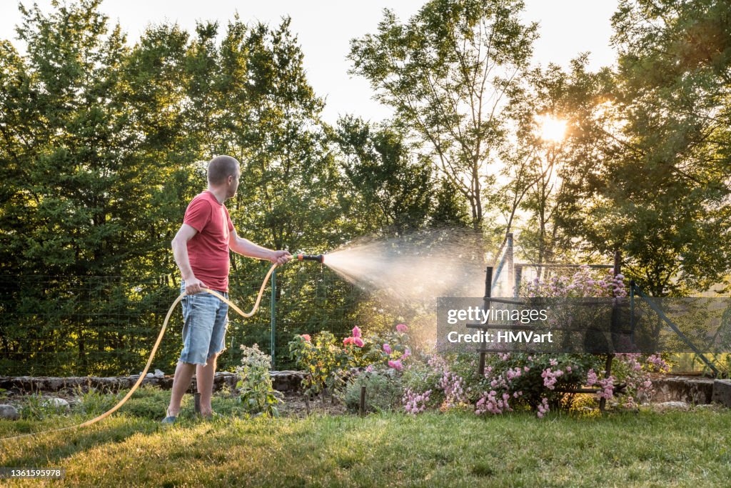 夏の夏の男は庭に水をやって