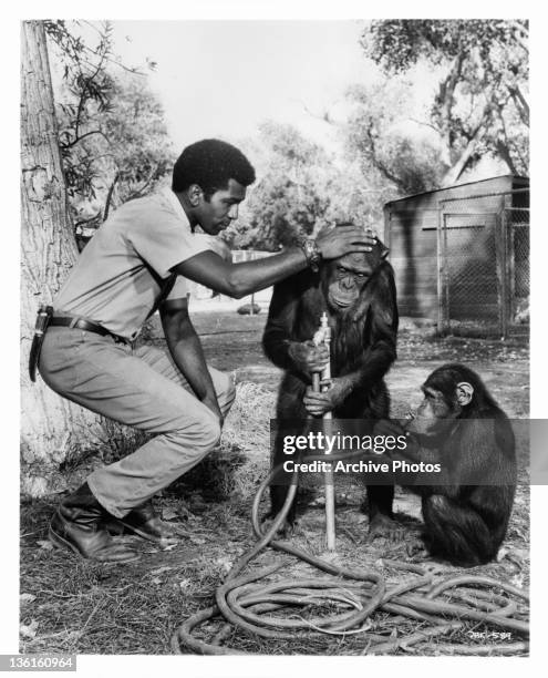 Hari Rhodes cautions chimps against wasting any water in a scene from the television series 'Daktari', 1966.