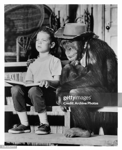 Judy the Chimp has her arm around Erin Moran in a scene from the television series 'Daktari', 1969.