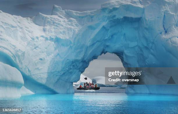 antarctic touristen - antarktis stock-fotos und bilder