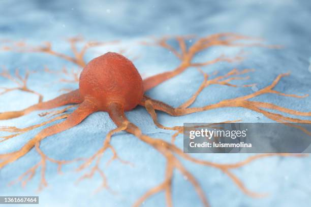 High Resolution Cancer Human Cancer Cell High-Res Stock Photo - Getty Images
