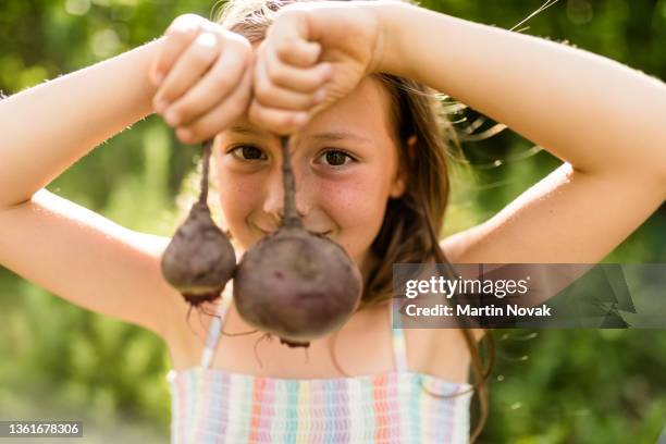 decision - big or small - common beet stock pictures, royalty-free photos & images