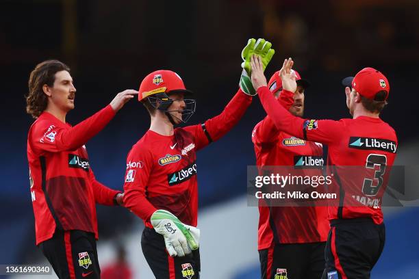 Mackenzie Harvey of the Renegades celebrates with teammates Nic Maddinson, Sam Harper and Aaron Finch after catching out Harry Brook of the...