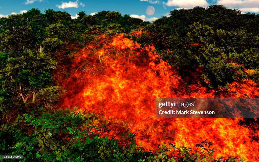 Out Control Fire An Out Of Control Forest Fire High-Res Vector Graphic - Getty Images