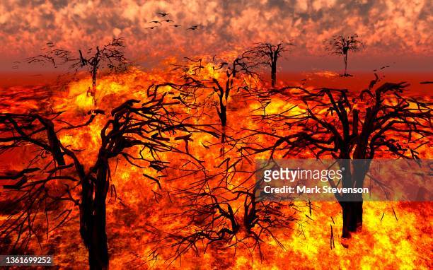 stockillustraties, clipart, cartoons en iconen met an out of control forest fire - bosbrand