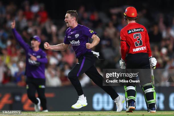 Tom Rogers of the Hurricanes celebrates after dismissing Mackenzie Harvey of the Renegades during the Men's Big Bash League match between the...