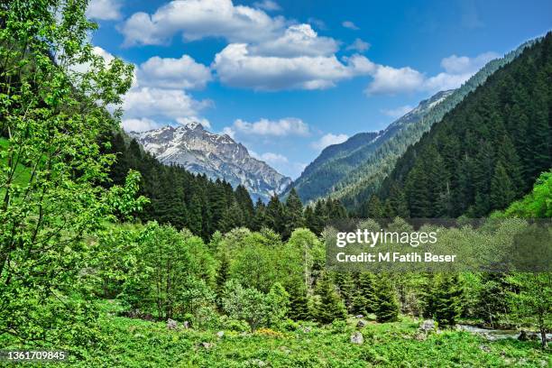 Turkey Rize Mountains Rize Turkey Photos and Premium High Res Pictures - Getty Images