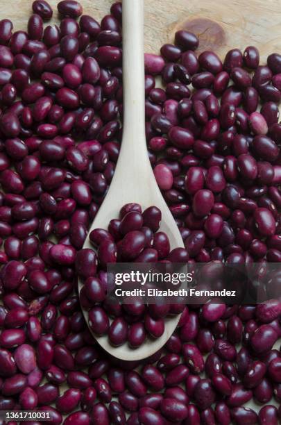 red kidney beans on wooden spoon - kidney bean stock pictures, royalty-free photos & images