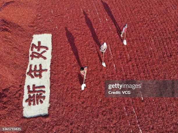Aerial view of farmers forming Chinese characters reading 'happy new year' while drying red chillies on December 29, 2021 in Baoding, Hebei Province...