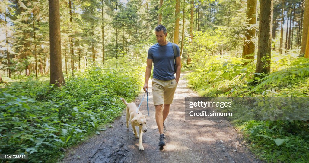森の道を歩く男と彼の犬