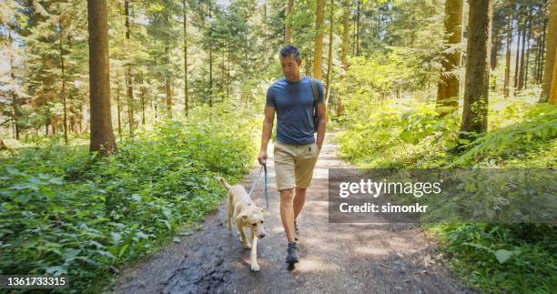 man and his dog walking on a forest path - dog walking stock pictures, royalty-free photos & images