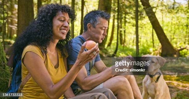 couple eating lunch in the forest with their dog - lunch break stockfoto's en -beelden